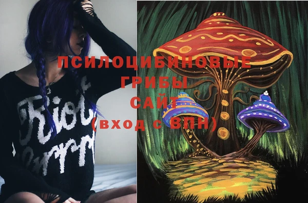 ПСИЛОЦИБИНОВЫЕ ГРИБЫ Осташков
