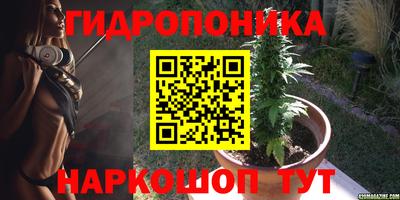 скорость Гагарин