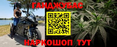 эйфоретик Абинск
