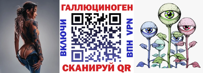 Галлюциногенные грибы Psilocybine cubensis Анжеро-Судженск