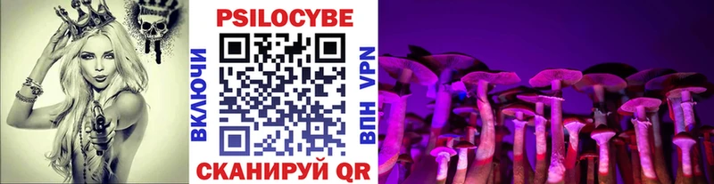 Псилоцибиновые грибы Psilocybine cubensis  Анжеро-Судженск 