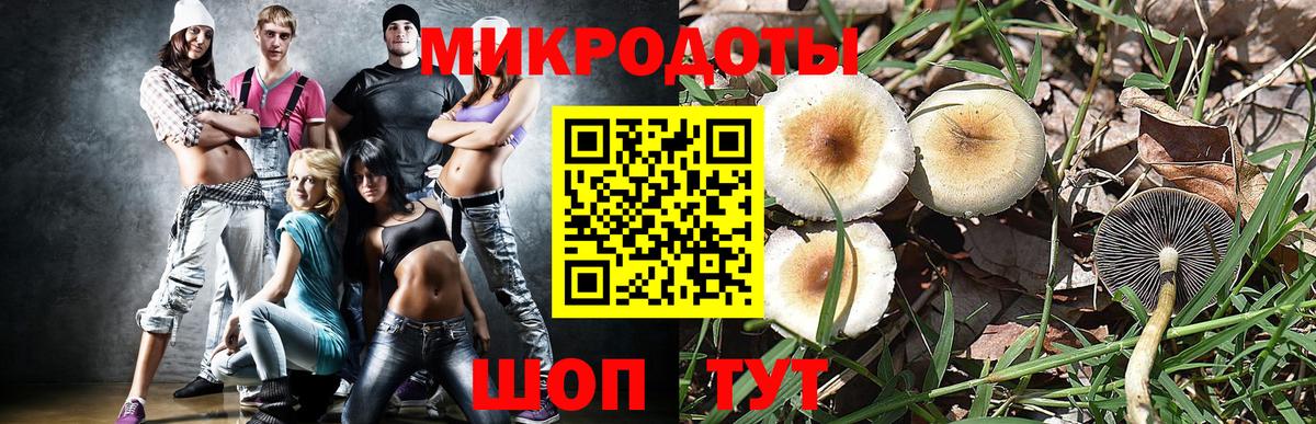 Псилоцибиновые грибы GOLDEN TEACHER  Вход с VPN  Галлюциногенные грибы GOLDEN TEACHER  Анжеро-Судженск 