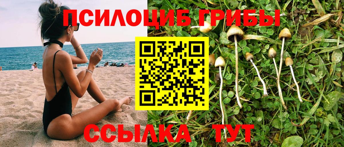 Анжеро-Судженск  Галлюциногенные грибы ЛСД  Вход с VPN 